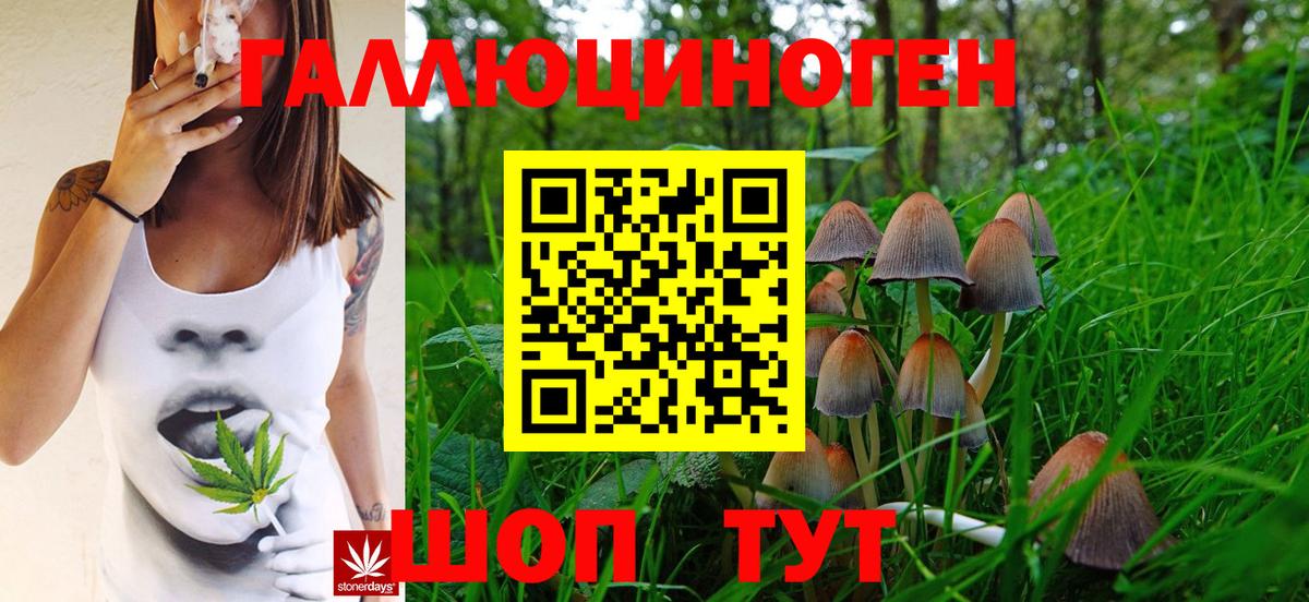Галлюциногенные грибы мухоморы Чапаевск