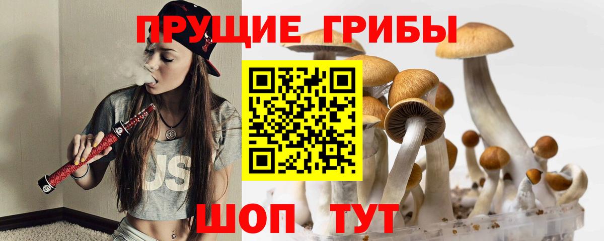купить наркотик  Галлюциногенные грибы мухоморы  Вход с VPN  Галлюциногенные грибы мицелий  Чапаевск 